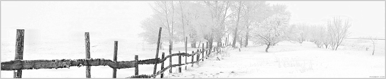 Eine verschneite Landschaft mit Zaun und Bäumen.