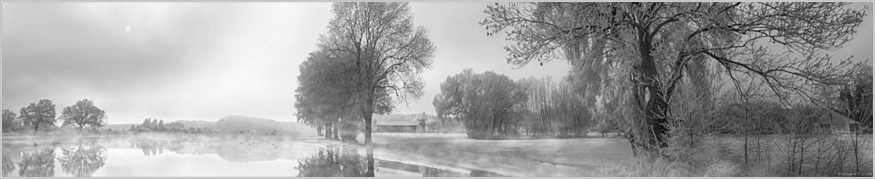 Ein See umgeben von Bäumen.