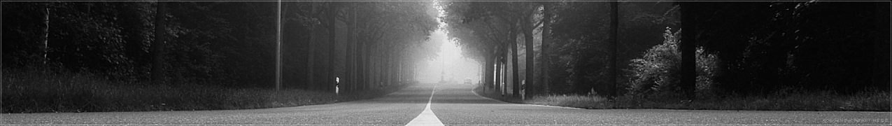 Es geschah im Nebel
