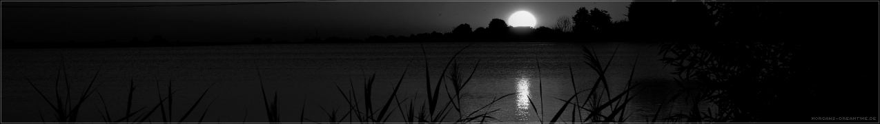 Der See